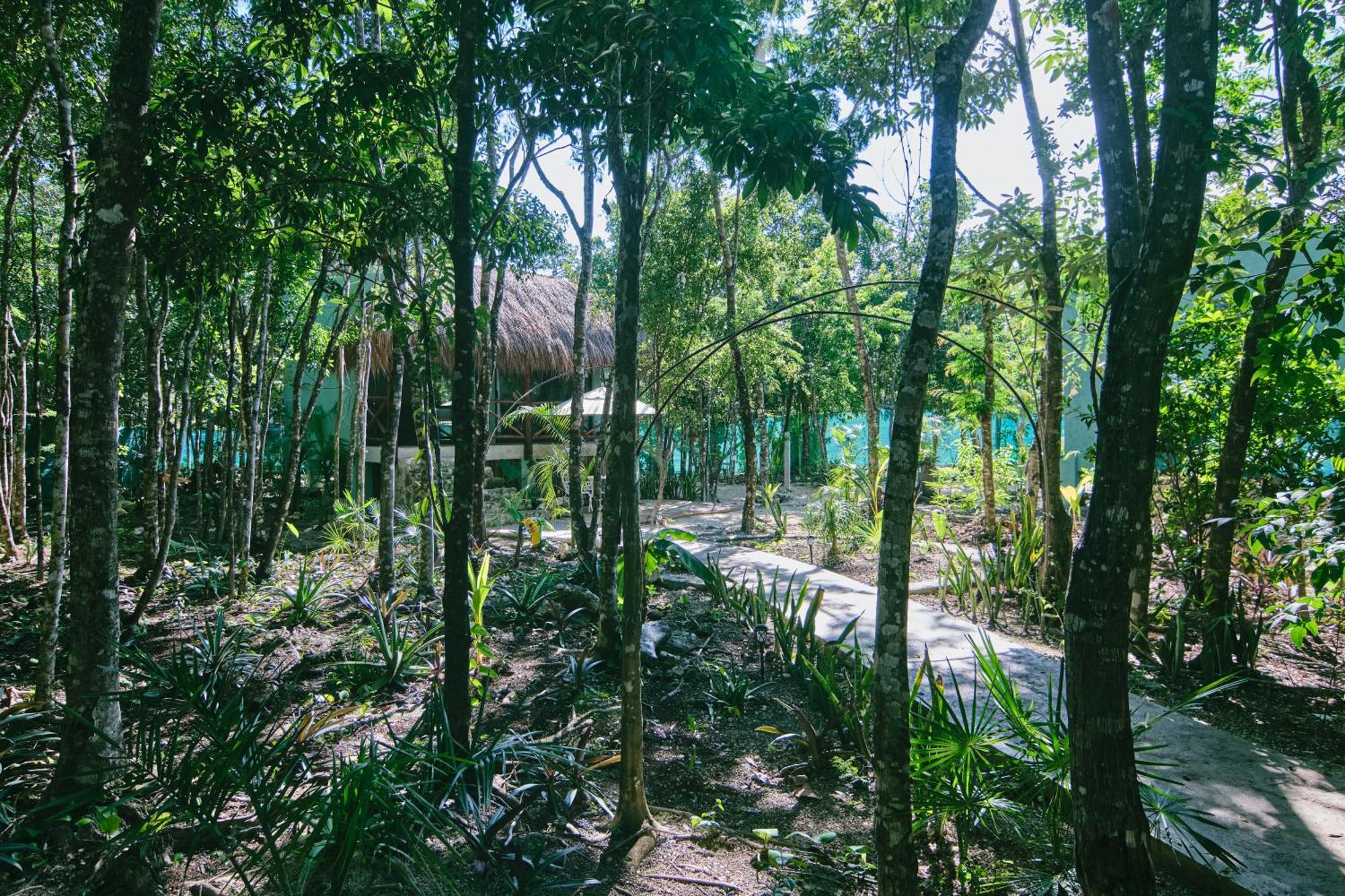 Superior Villa