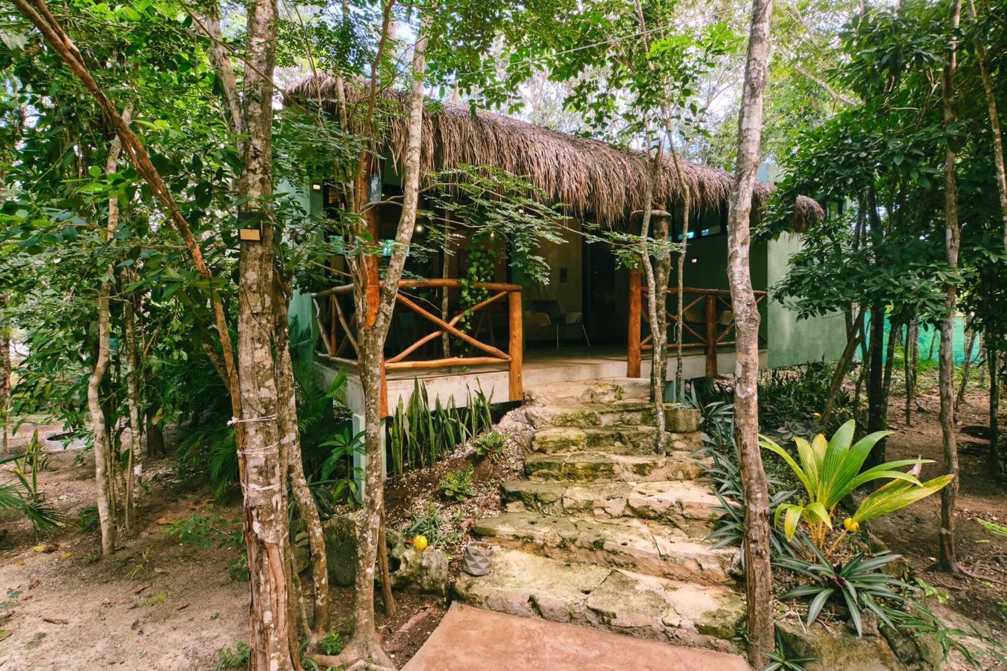 Standard Villa
