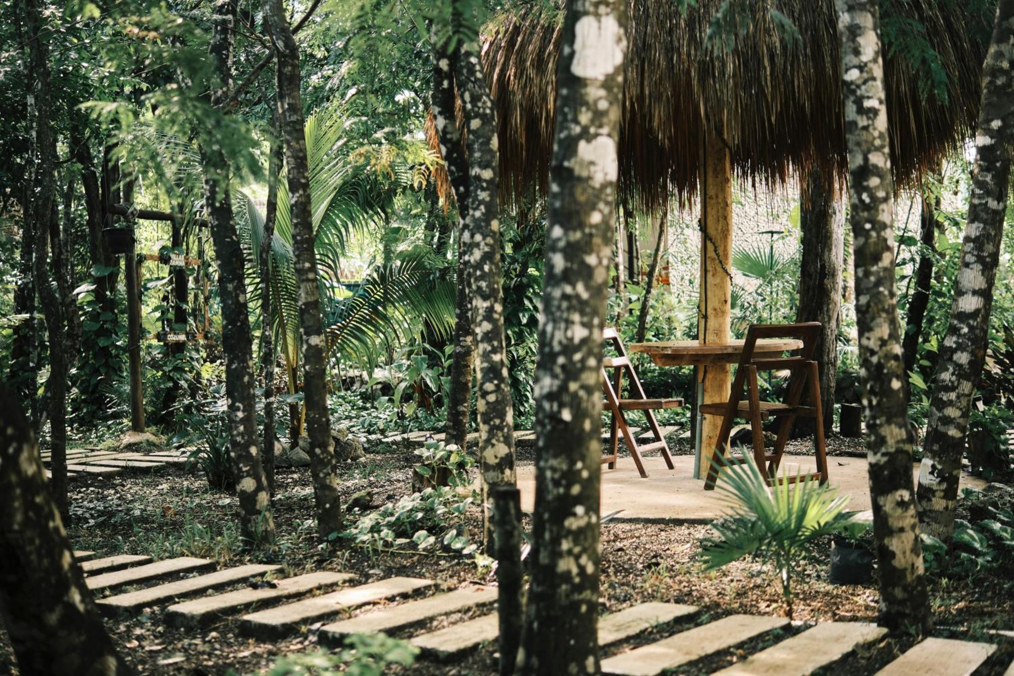 Superior Villa