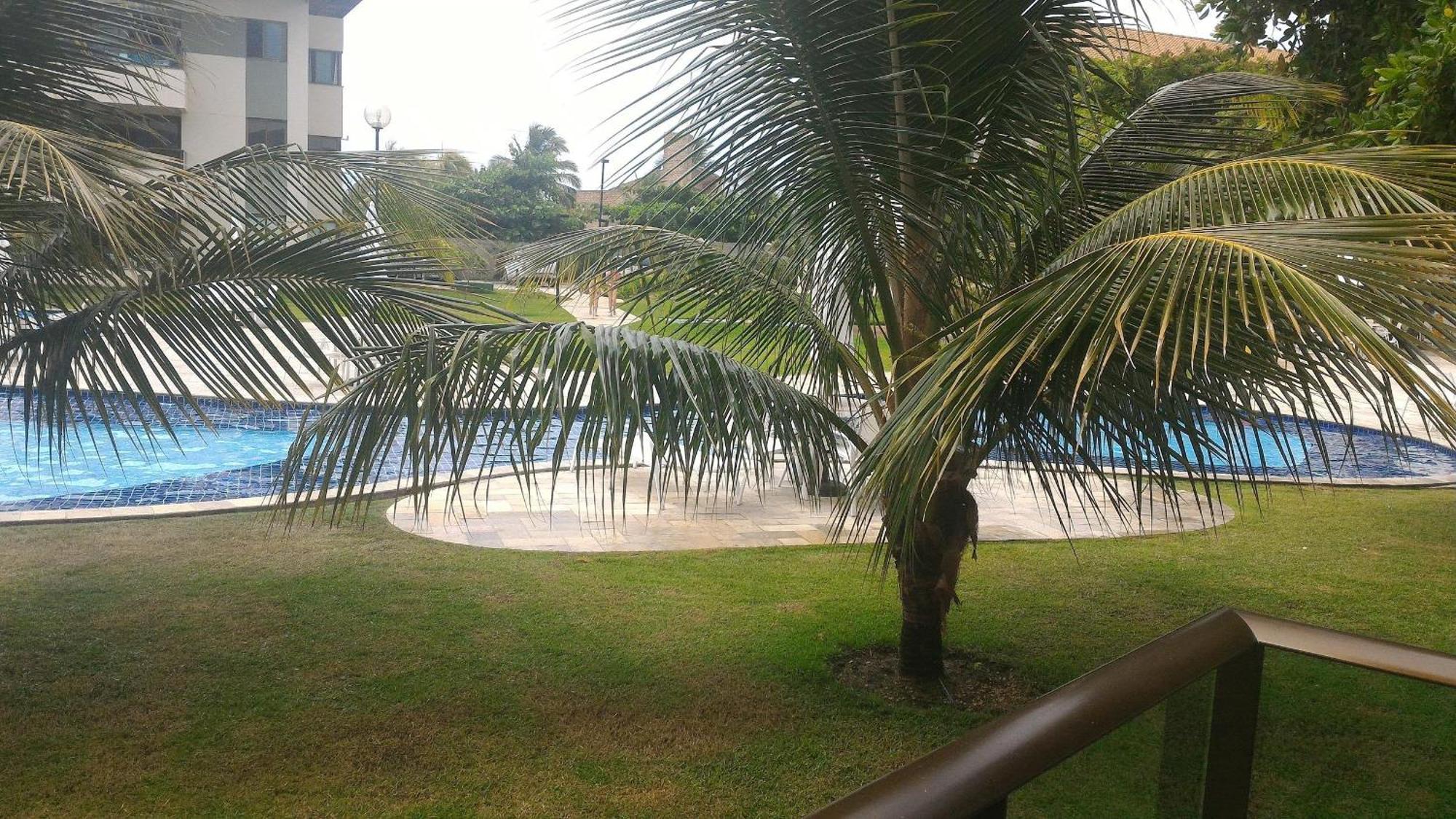 Apartment Pool View