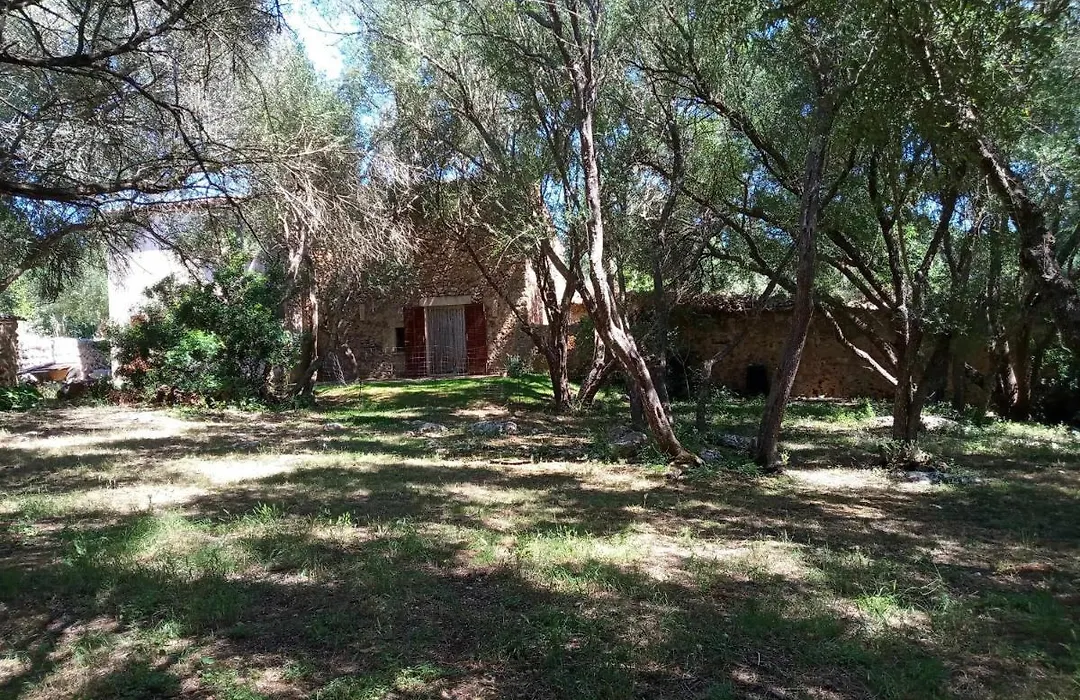 Finca Cas Canar-1