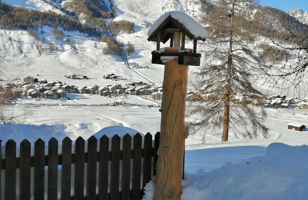 Chalet Freita-1