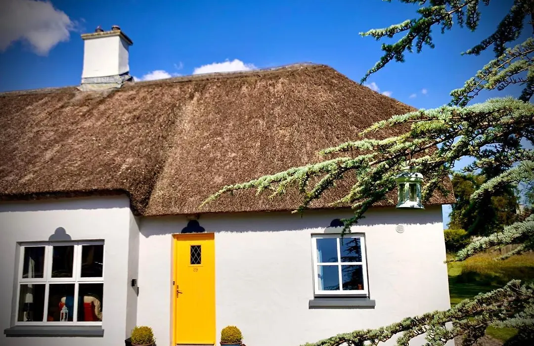 Old Killarney-1