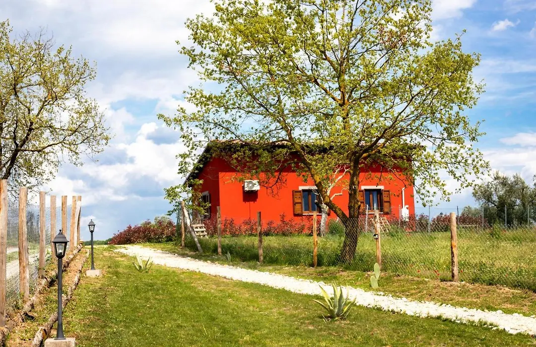Agriturismo Poggio Degli Ulivi-1
