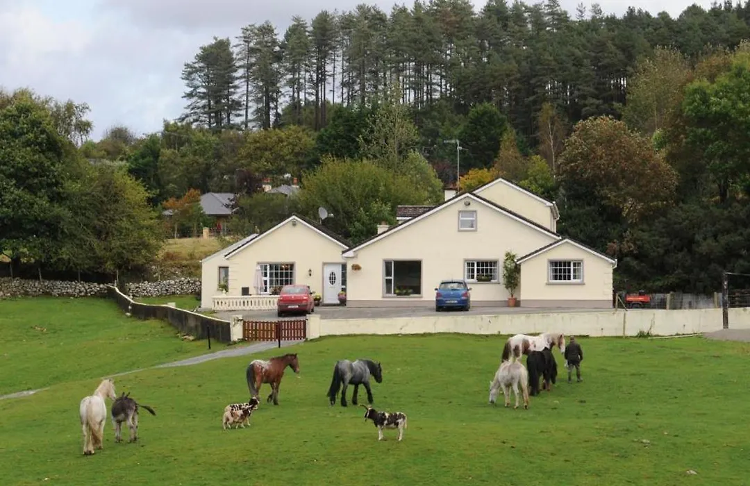 Muckross Riding Stables-1