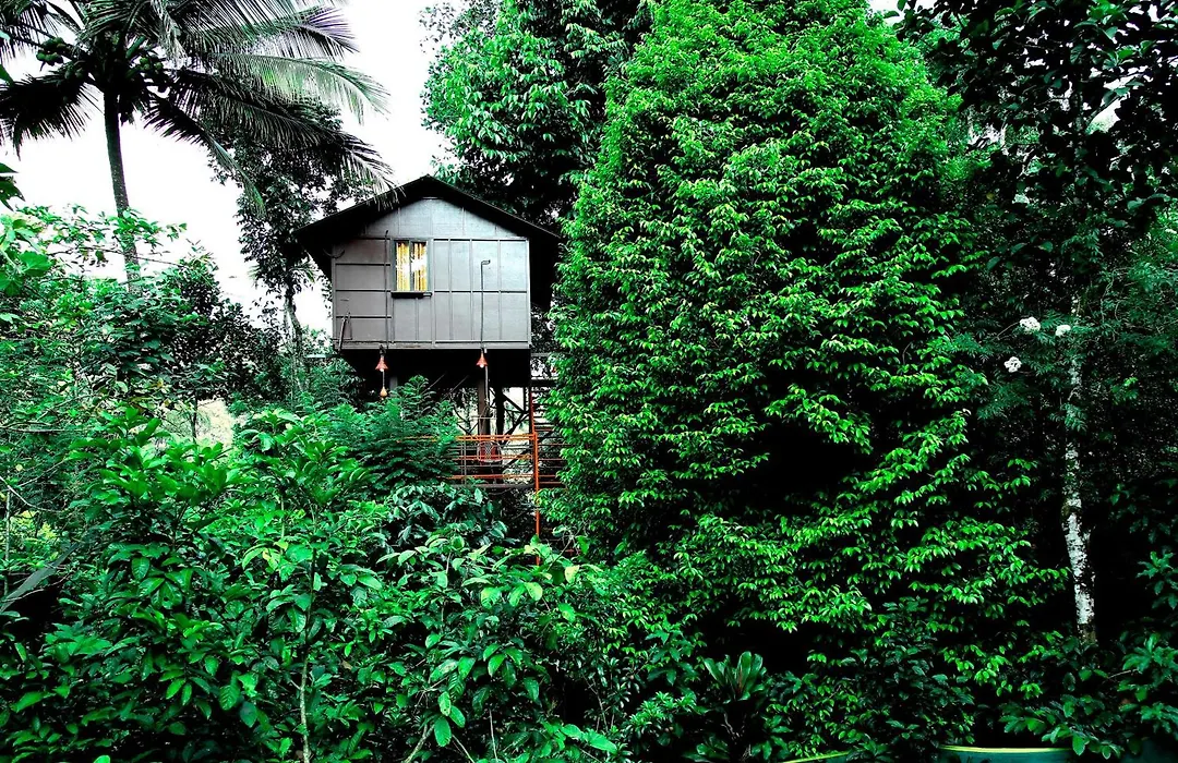The Wayside Cottage Munnar-1