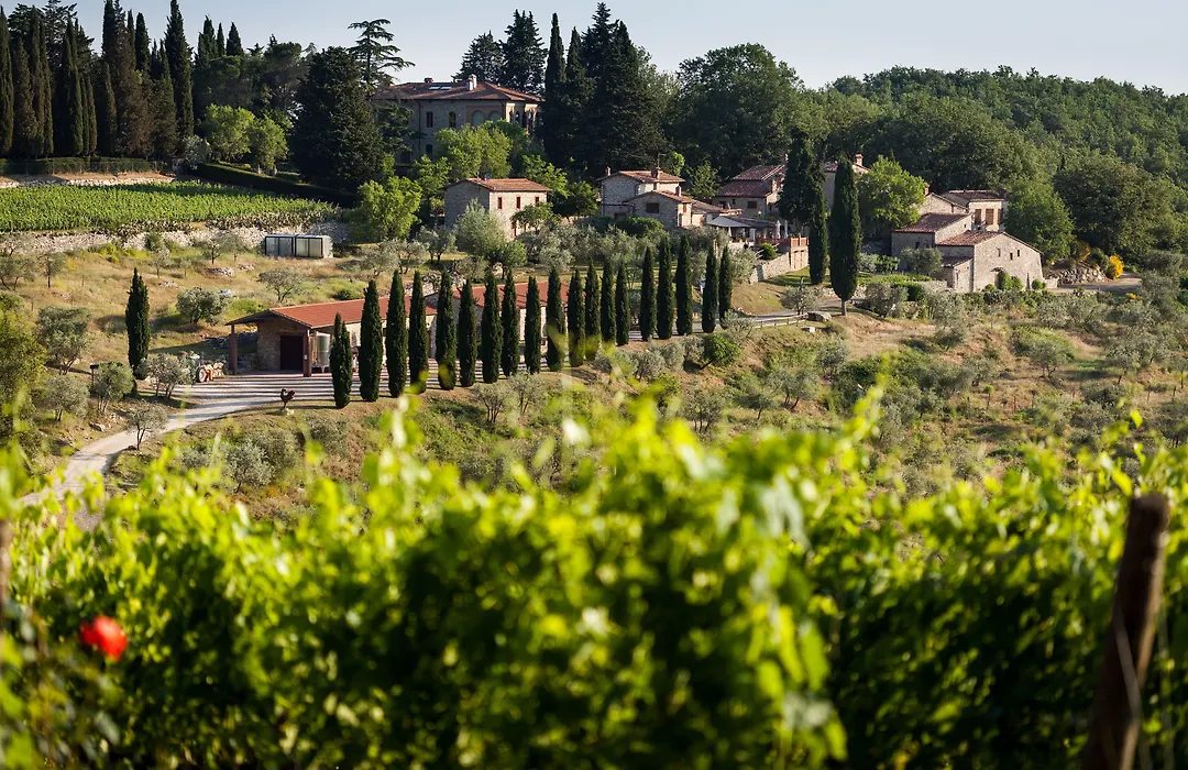 Querceto Di Castellina-1