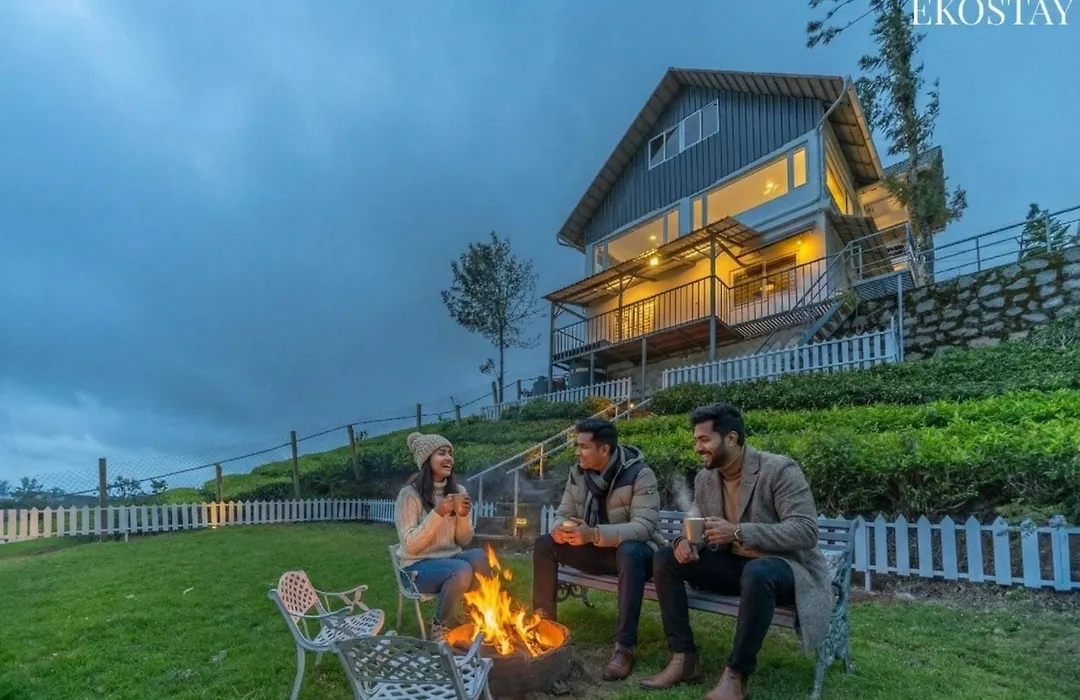 Eko Stay - Woodside Ivy-1