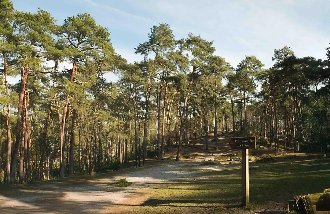 Villa Albertine, 4 chambres en plein cœur de Barbizon proche lisière de Forêt-1