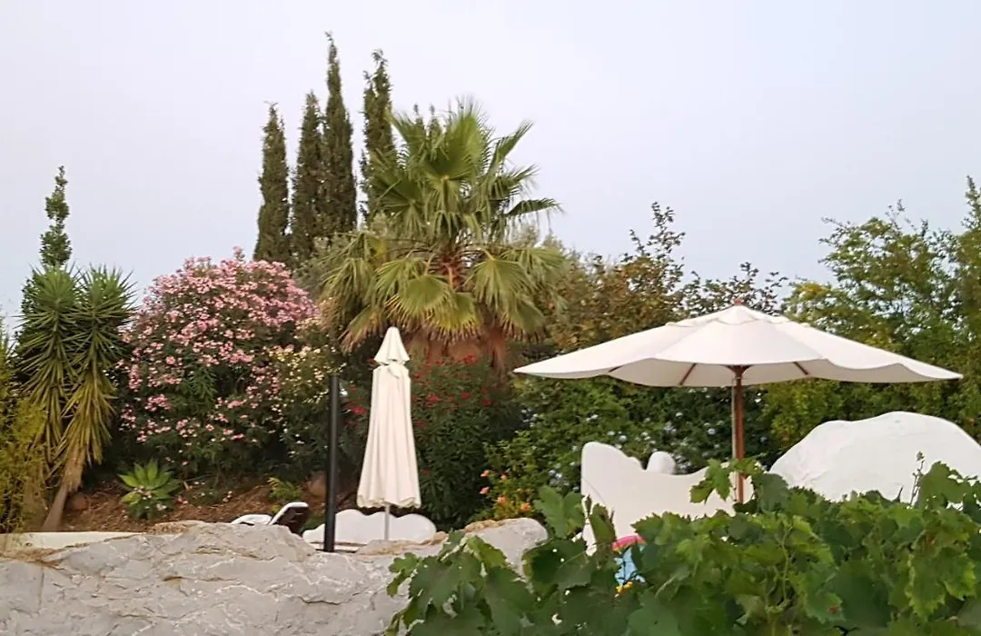 Quinta Dos Cochichos - Country Houses-1