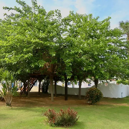 Naturetreehouse Casa Sobre Los Arboles-3