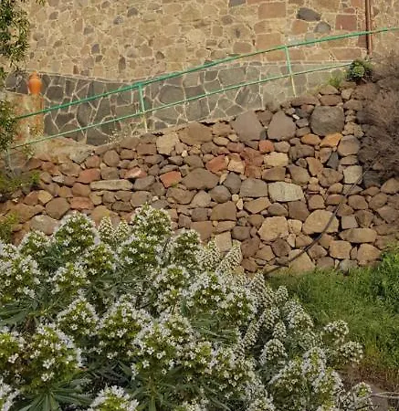 El Rinconcito de Tejeda-2