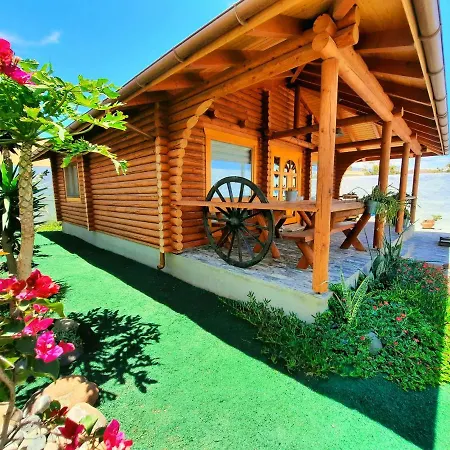 Wild House-3