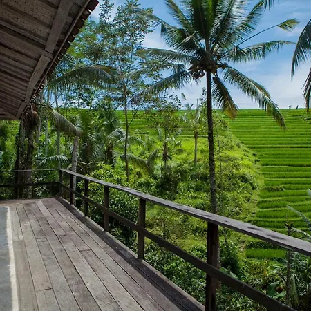Be Bali Stay-3