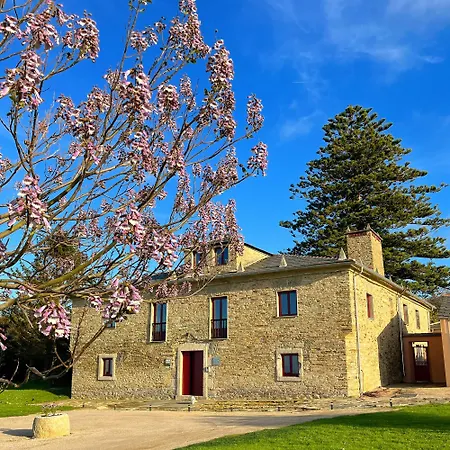 Araucaria House-2