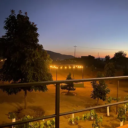 Palta 60 Valle De Guadalupe-3