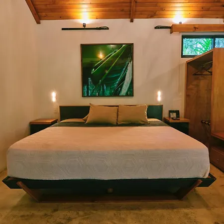 Villas Zamna - Jungle Villas-3