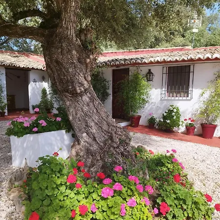 Casa Abanto-3