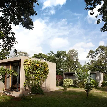 Kaliwa Lodge-3