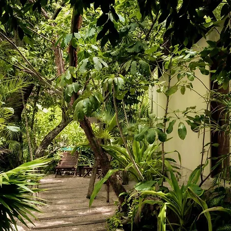Jungle Keva Tulum Villa Lodges & Venue-3