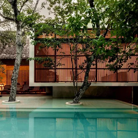 Jungle Keva Tulum Villa Lodges & Venue-2