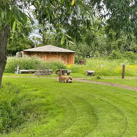 Acorn Glade Glamping York-3