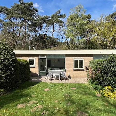 Modern natuurhuisje midden in het bos op de Veluwe - Beau Home-2