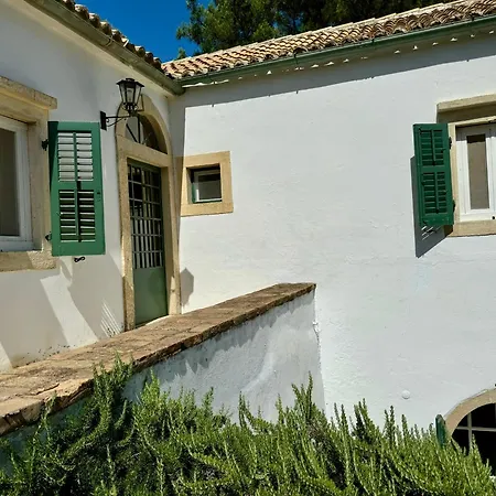 Charming Villa For Nature Lovers In Theotoky Estate Vineyard And Olive Mill-3