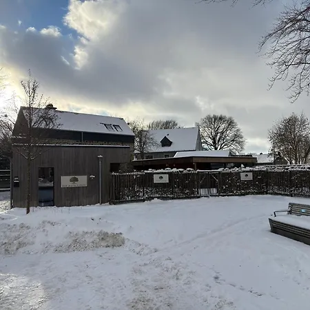 Die Alte Linde-2