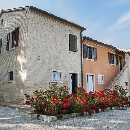 Rustico del Conero-3