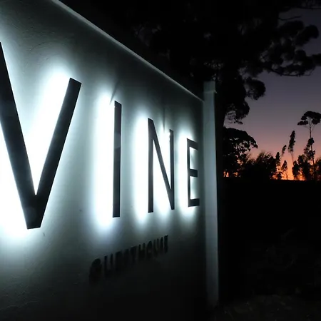 Vine Guesthouse-3