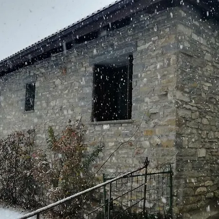 O Zierzo-3