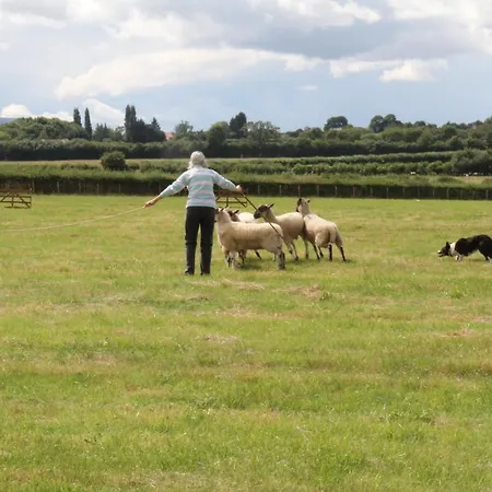 Church Farm-2