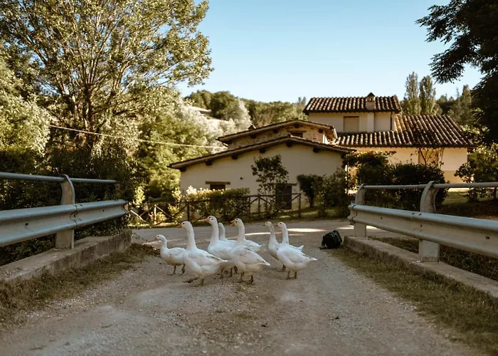 Agriturismo Le Radici