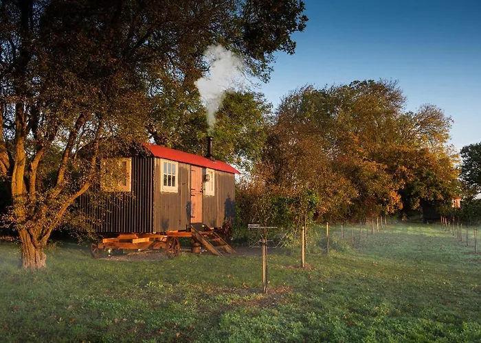 Wellbeing Orchard