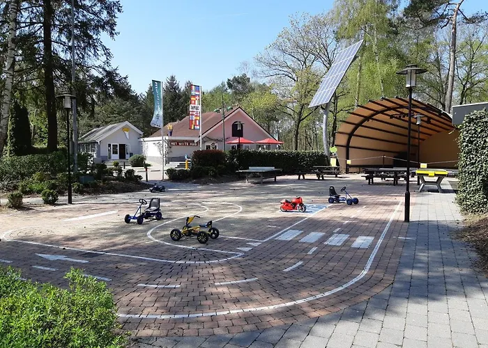 Chalet Hoenderloo Beuk