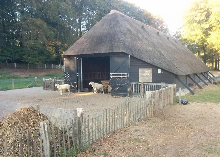 Chalet Hoenderloo Den