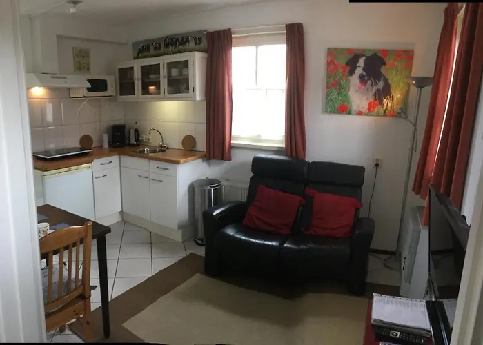 Chalet Or Apartment Nearby Roermond Outlet