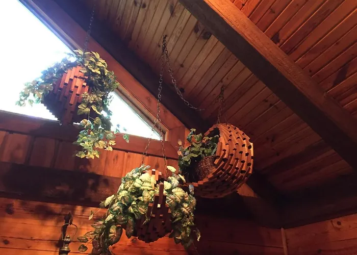 Cherokee Mountain Log Cabins