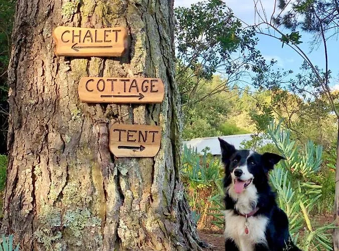 Eagles' Call Cottages And Tent