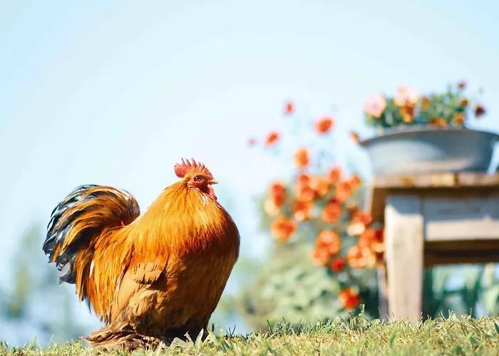 Tulpenhuys