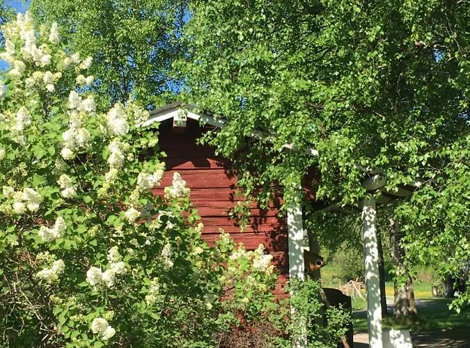 Ollila Rantamoekit