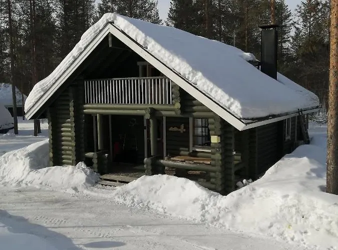 Levihaukka 10