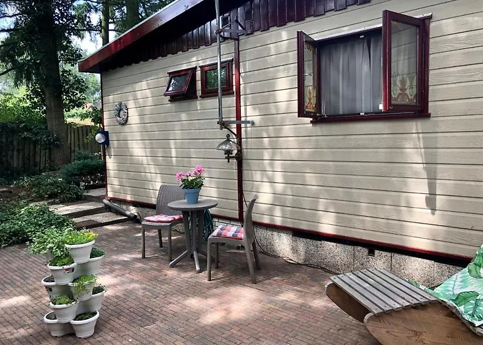 Retro Relax Resort midden in het bos op de Veluwe in Putten