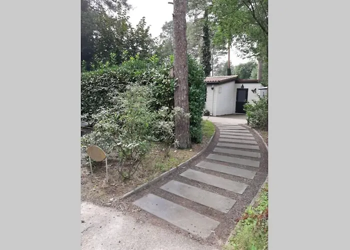Chalet de Hazelnoot te Diever