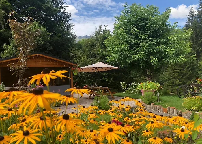 Le Moulin Des Olirics
