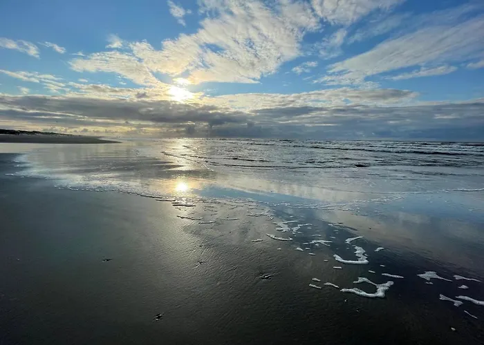 Effe Wad
