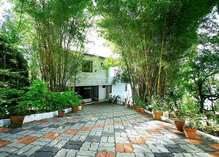 All Vacation Rentals Green Magic Home