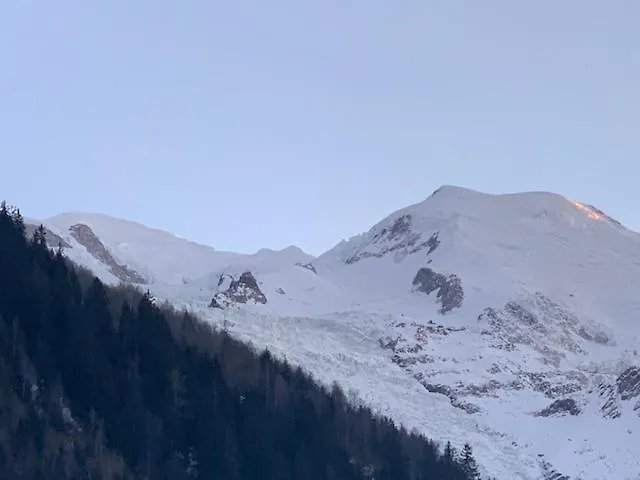 Chalet Mitoyen Le Rusticana