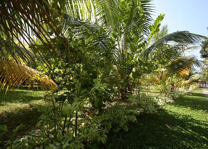 Negombovilla